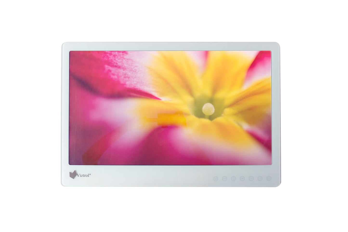 Monitor de 24' Full HD Grado Medico - Viztrol
