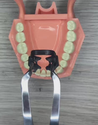 Grapa Dental AVX – Pack de 4 Unidades | Aislamiento Absoluto | Hecho en México